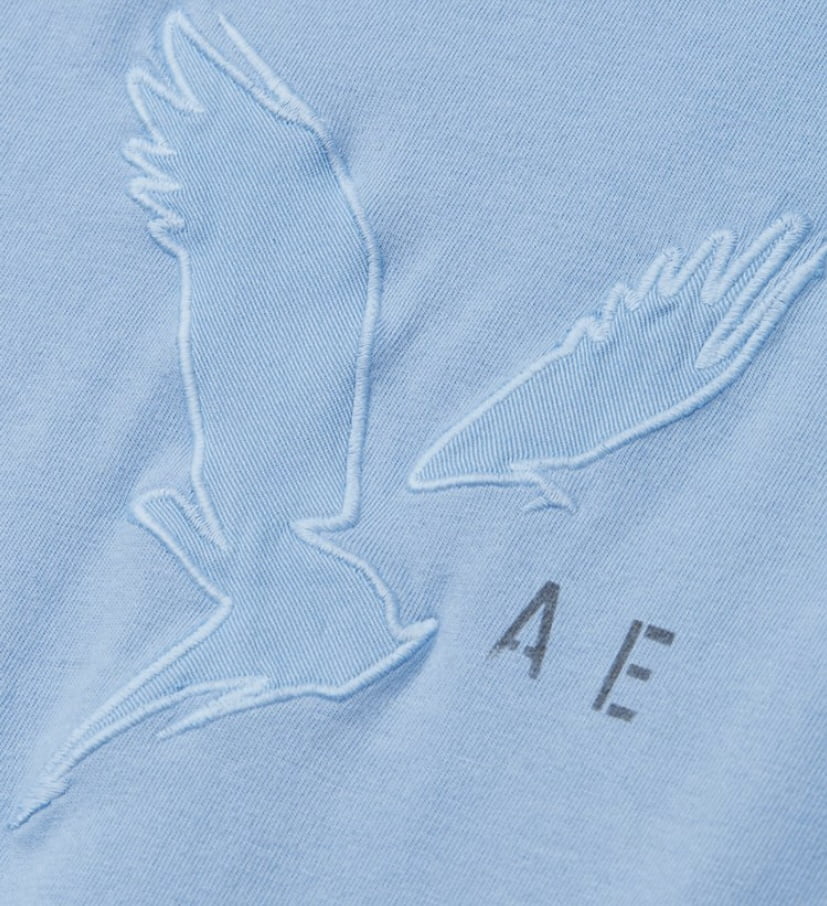 Manga Larga American Eagle- Logo box