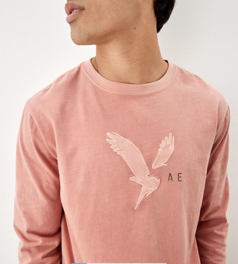 Manga Larga American Eagle - Rosa